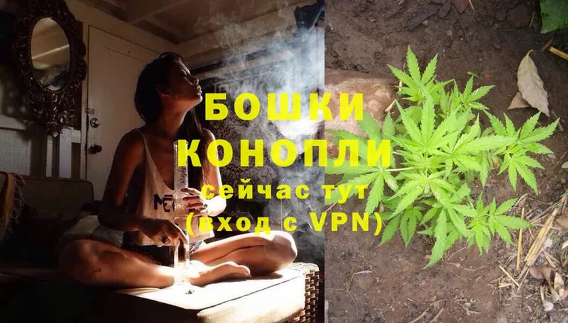 Конопля THC 21%  OMG зеркало  Подольск 